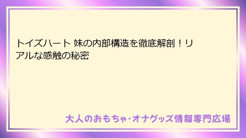 トイズハート 妹の内部構造を徹底解剖！リアルな感触の秘密