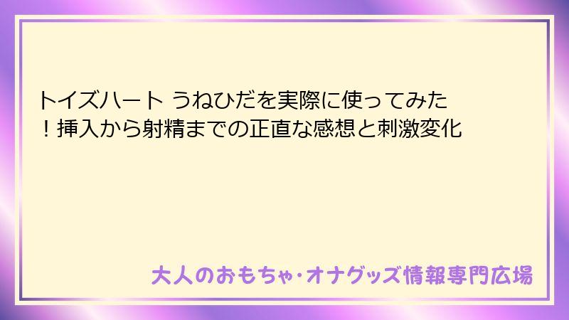 トイズハート うねひだを実際に使ってみた!挿入から射精までの正直な感想と刺激変化