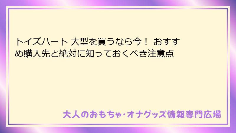 トイズハート 大型を買うなら今! おすすめ購入先と絶対に知っておくべき注意点