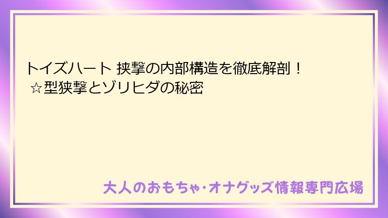 トイズハート 挟撃の内部構造を徹底解剖！ ☆型狭撃とゾリヒダの秘密