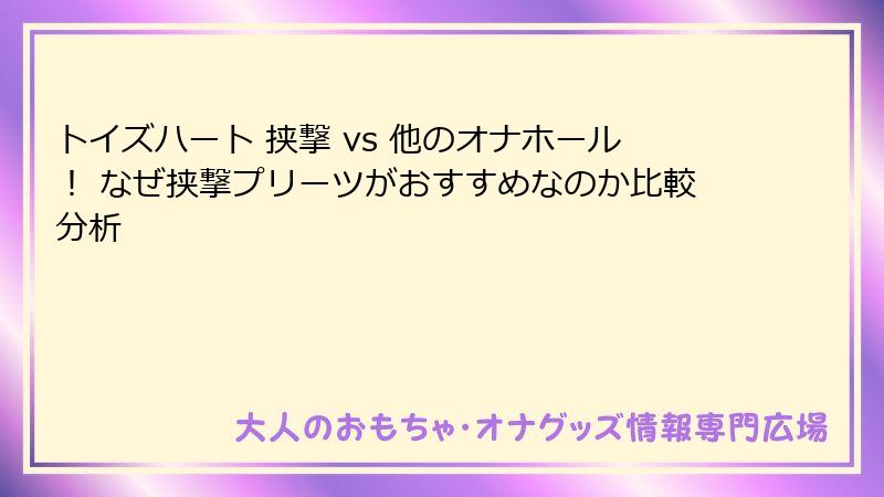 トイズハート 挟撃 vs 他のオナホール！ なぜ挟撃プリーツがおすすめなのか比較分析