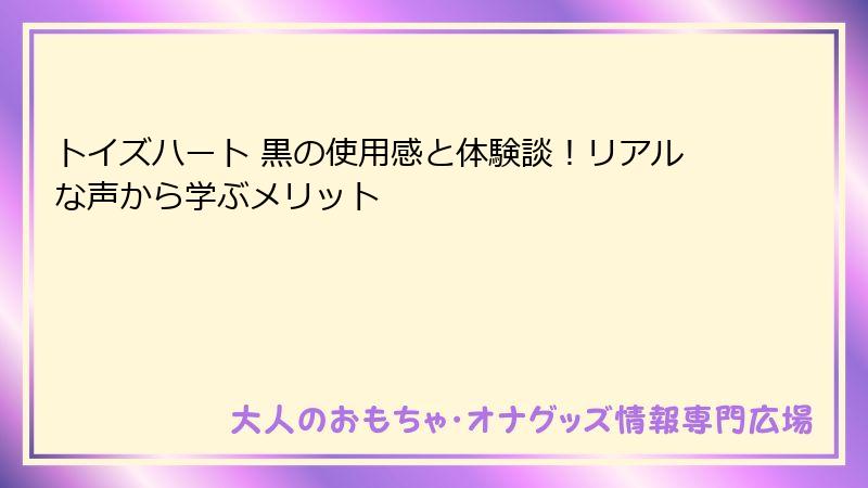 トイズハート 黒の使用感と体験談！リアルな声から学ぶメリット