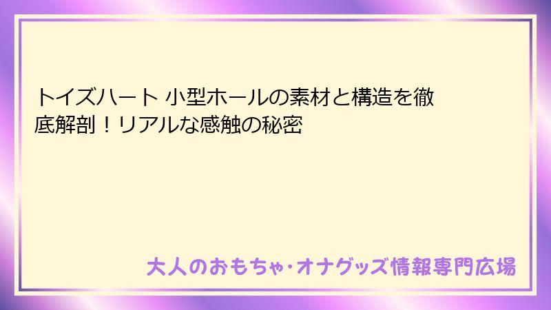 トイズハート 小型ホールの素材と構造を徹底解剖！リアルな感触の秘密