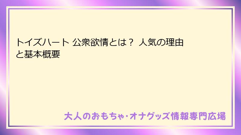 トイズハート 公衆欲情とは？ 人気の理由と基本概要