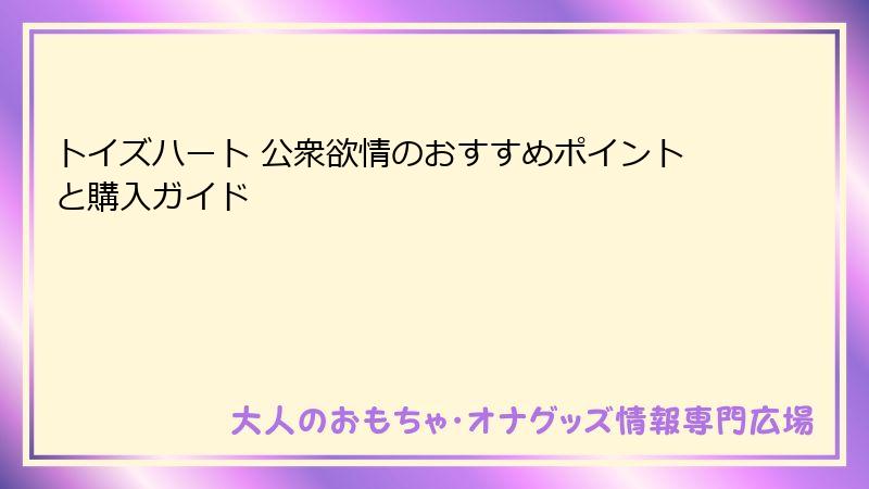 トイズハート 公衆欲情のおすすめポイントと購入ガイド