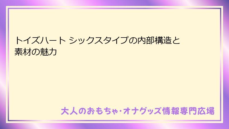 トイズハート シックスタイプの内部構造と素材の魅力