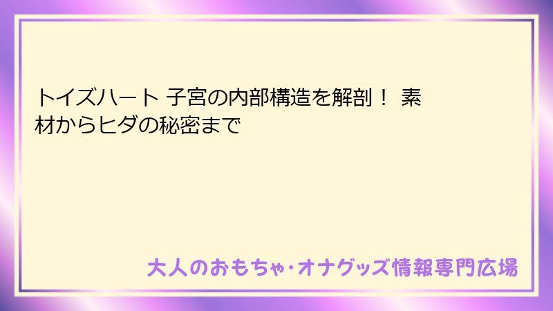 トイズハート 子宮の内部構造を解剖! 素材からヒダの秘密まで