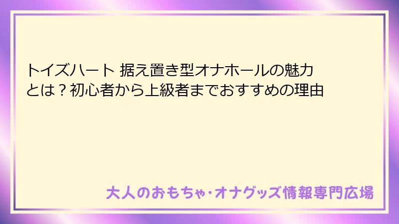 トイズハート 据え置き型オナホールの魅力とは?初心者から上級者までおすすめの理由