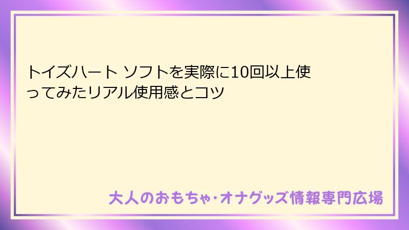 トイズハート ソフトを実際に10回以上使ってみたリアル使用感とコツ