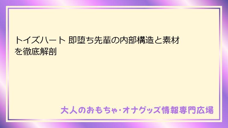 トイズハート 即堕ち先輩の内部構造と素材を徹底解剖