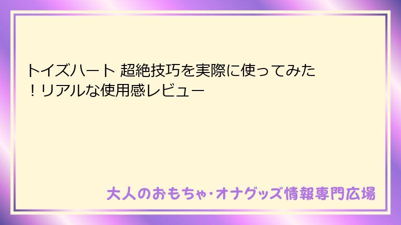 トイズハート 超絶技巧を実際に使ってみた！リアルな使用感レビュー