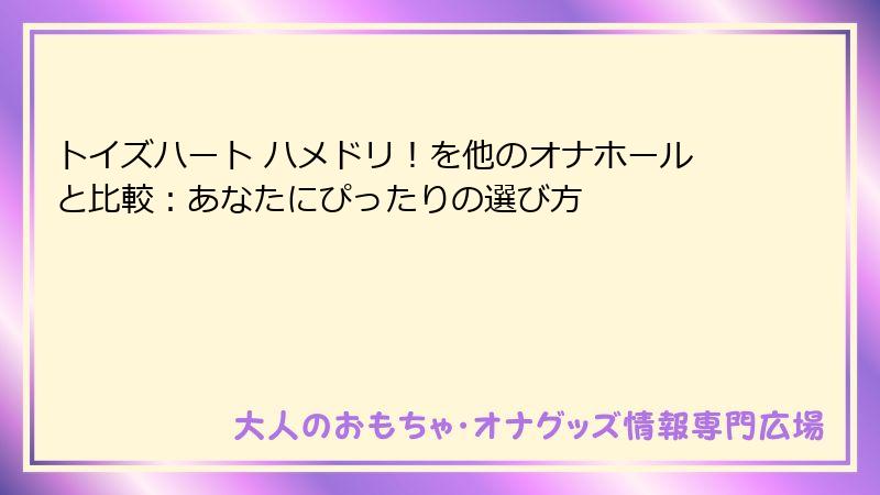 トイズハート ハメドリ！を他のオナホールと比較：あなたにぴったりの選び方