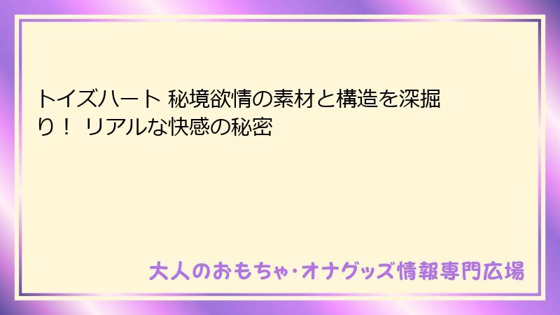 トイズハート 秘境欲情の素材と構造を深掘り! リアルな快感の秘密