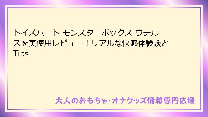 トイズハート モンスターボックス ウテルスを実使用レビュー！リアルな快感体験談とTips