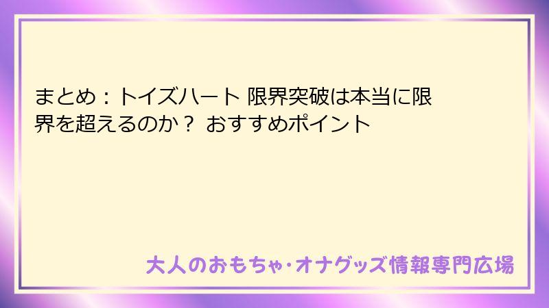 まとめ：トイズハート 限界突破は本当に限界を超えるのか？ おすすめポイント