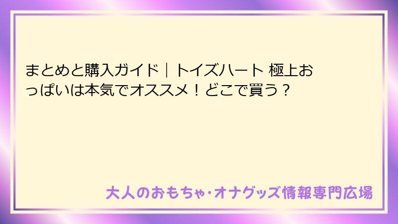 まとめと購入ガイド｜トイズハート 極上おっぱいは本気でオススメ！どこで買う？