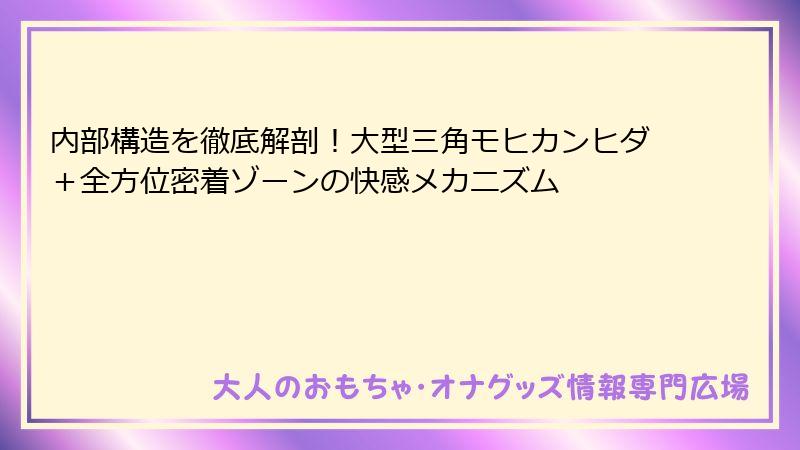 内部構造を徹底解剖!大型三角モヒカンヒダ+全方位密着ゾーンの快感メカニズム