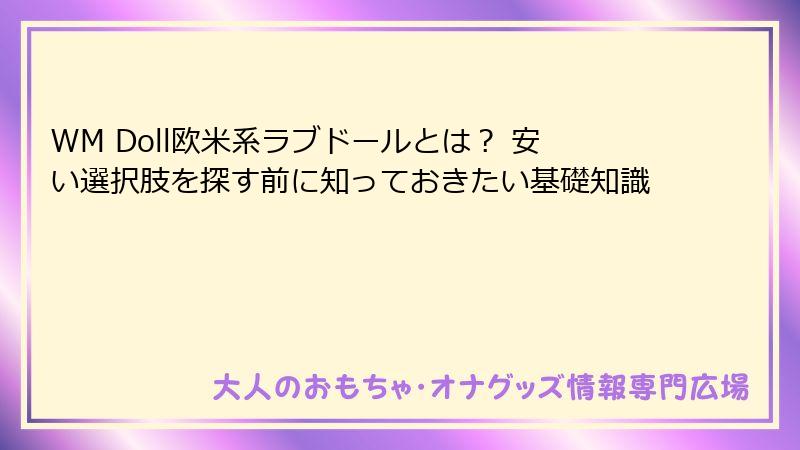 WM Doll欧米系ラブドールとは? 安い選択肢を探す前に知っておきたい基礎知識