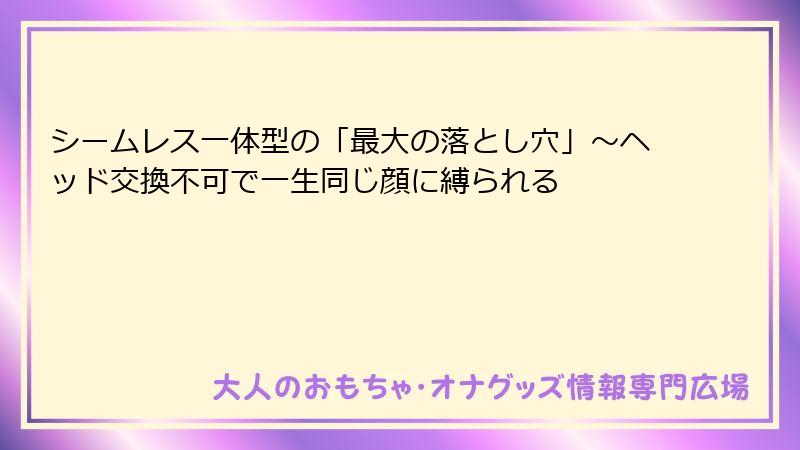 シームレス一体型の「最大の落とし穴」~ヘッド交換不可で一生同じ顔に縛られる
