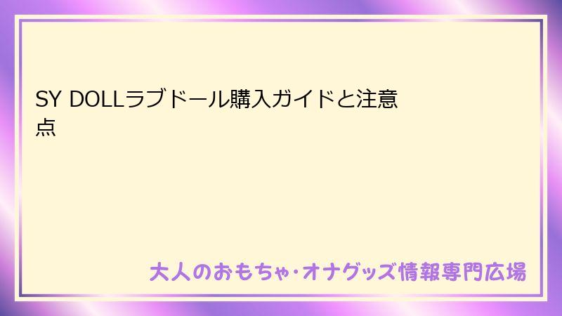 SY DOLLラブドール購入ガイドと注意点