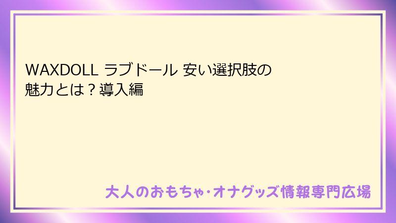 WAXDOLL ラブドール 安い選択肢の魅力とは？導入編