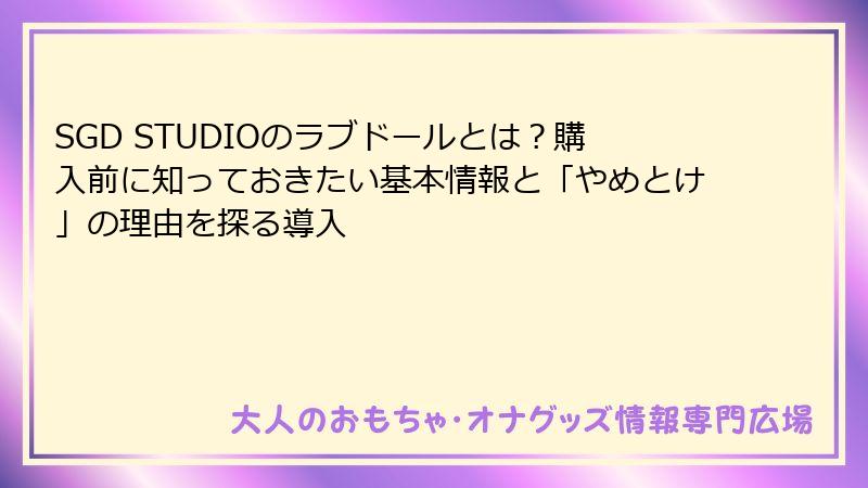 SGD STUDIOのラブドールとは?購入前に知っておきたい基本情報と「やめとけ」の理由を探る導入