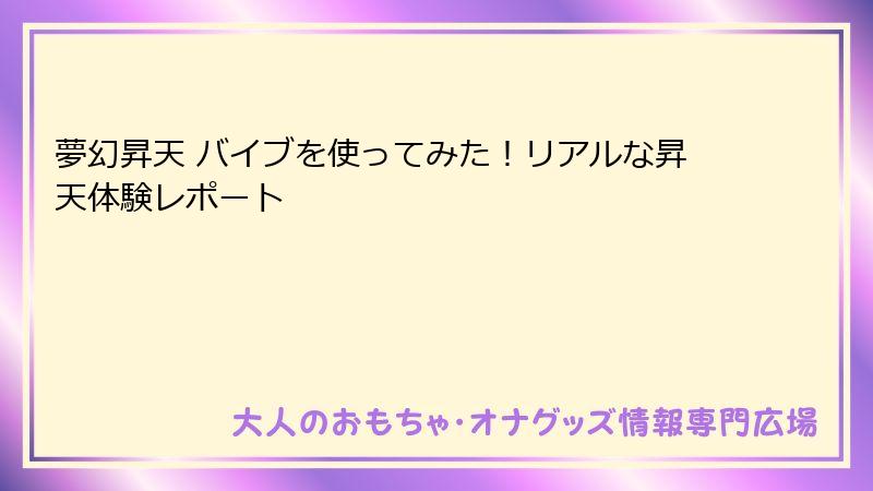 夢幻昇天 バイブを使ってみた!リアルな昇天体験レポート