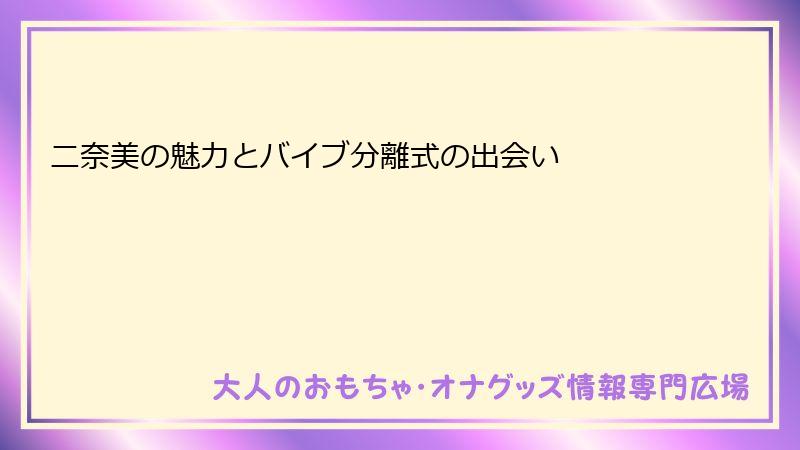 二奈美の魅力とバイブ分離式の出会い