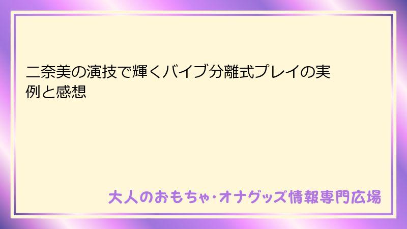 二奈美の演技で輝くバイブ分離式プレイの実例と感想