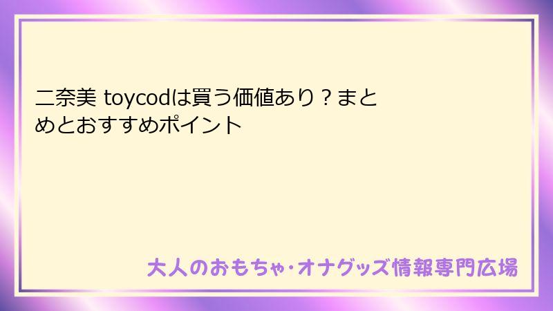 二奈美 toycodは買う価値あり?まとめとおすすめポイント