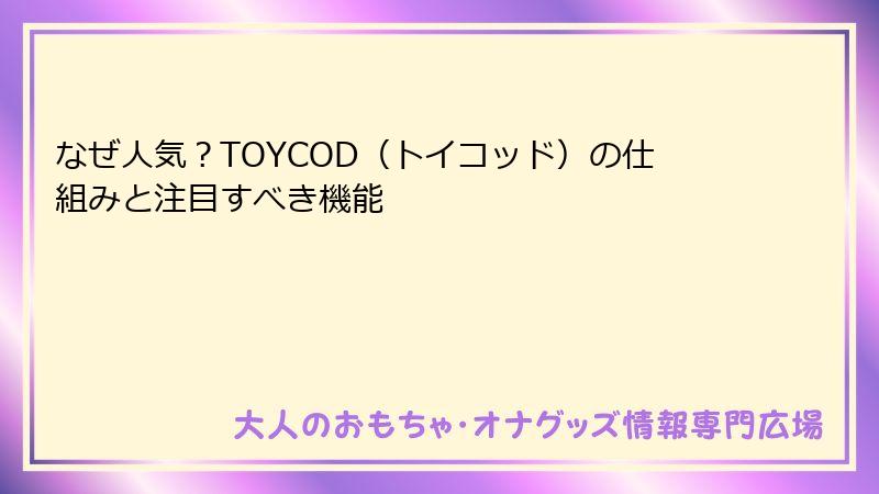 なぜ人気？TOYCOD（トイコッド）の仕組みと注目すべき機能