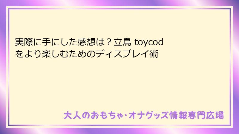 実際に手にした感想は？立鳥 toycodをより楽しむためのディスプレイ術