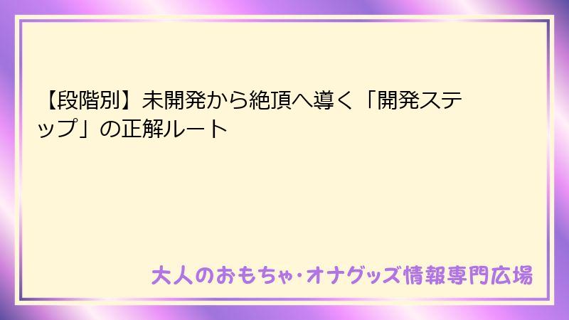【段階別】未開発から絶頂へ導く「開発ステップ」の正解ルート